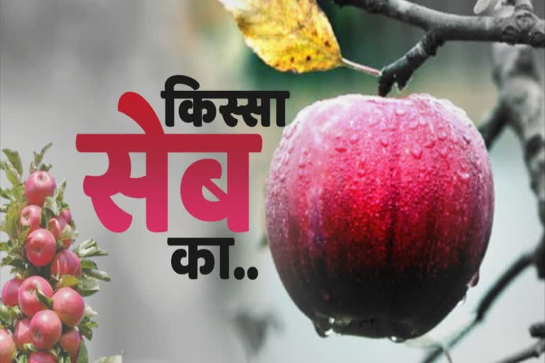 Varities of apple in himachal