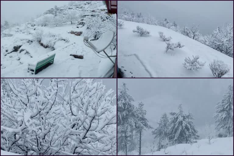 Himachal Pradesh: Mandhol village in Shimla district received snowfall today