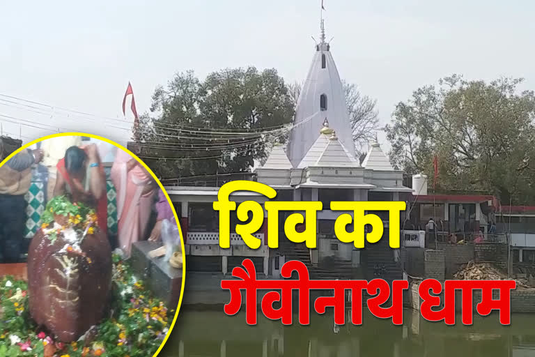 Shiva's Gavinath Dham is in Satna