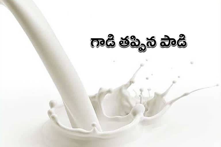 The dairy industry got down due to climate changes in telangana