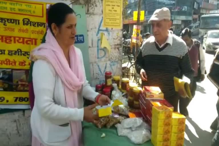 Self-help group women got platform to sell products in hamirpur