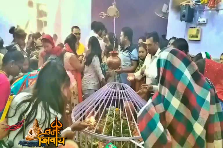 People worshiped Shiva in Harihardham temple in giridih