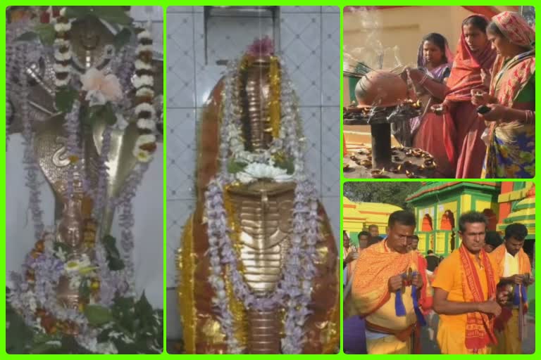 mahasibaratri-festival-at-subarnapur-full-of-devotee-in-siva-temple