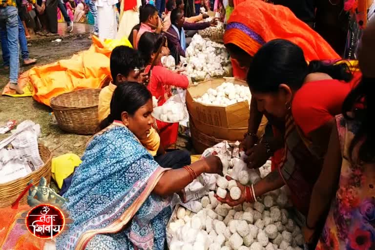 Mahashivratri celebrated in sahibganj