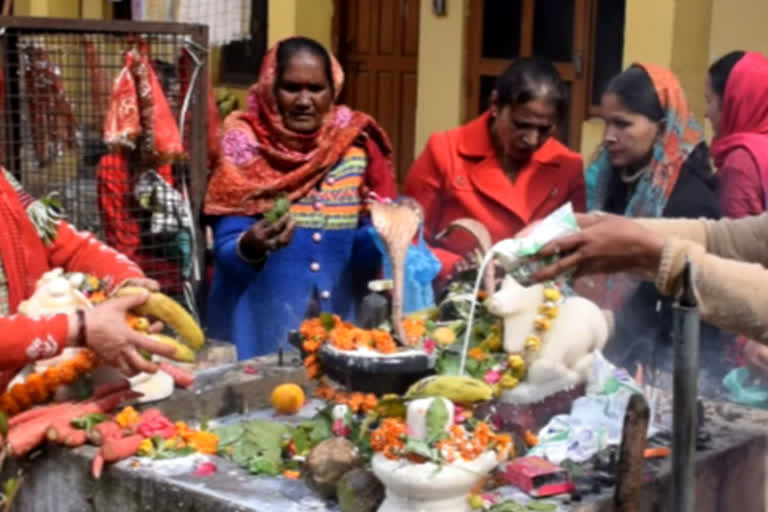 mahashivratri celebrated in manali