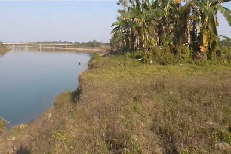 EROSION OF BURHI DIHING RIVER, বুঢ়ীদিহিঙৰ ভয়াৱহ গৰা-খহনীয়াত ত্ৰস্তমান 3 নং চৰাইহাবী গাঁৱবাসী