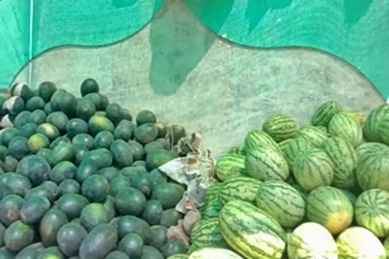 Increased demand for watermelon from summer and Shivaratri festival