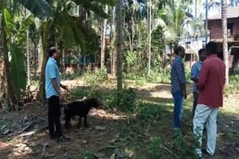 നാദാപുരത്തെ സ്‌ഫോടനം  ബോംബ് സ്‌ക്വാഡ് പരിശോധന നടത്തി  കോഴിക്കോട്‌ വാര്‍ത്തകള്‍  ഉമ്മത്തൂരിലുണ്ടായ ബോംബ് സ്ഫോടനം  bomb blast at nadapuram; bomb squad conductes search  bomb blast at nadapuram