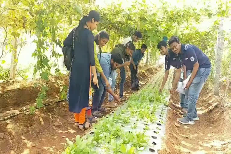 students visit Organic farm house at nalgonda