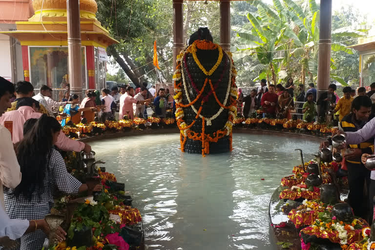 Shivling are together, महाशिवरात्रि पर पूजा