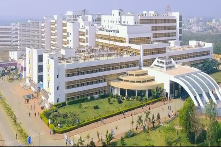 only use hindi language in aiims