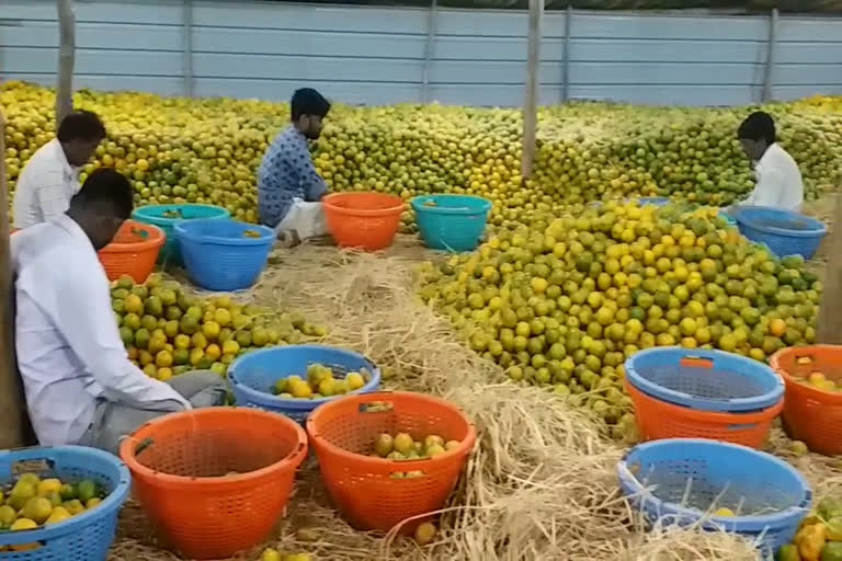 orange of chhindwara