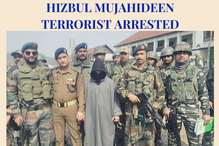 Hizbul Mujahideen terrorist arrested in Baramulla