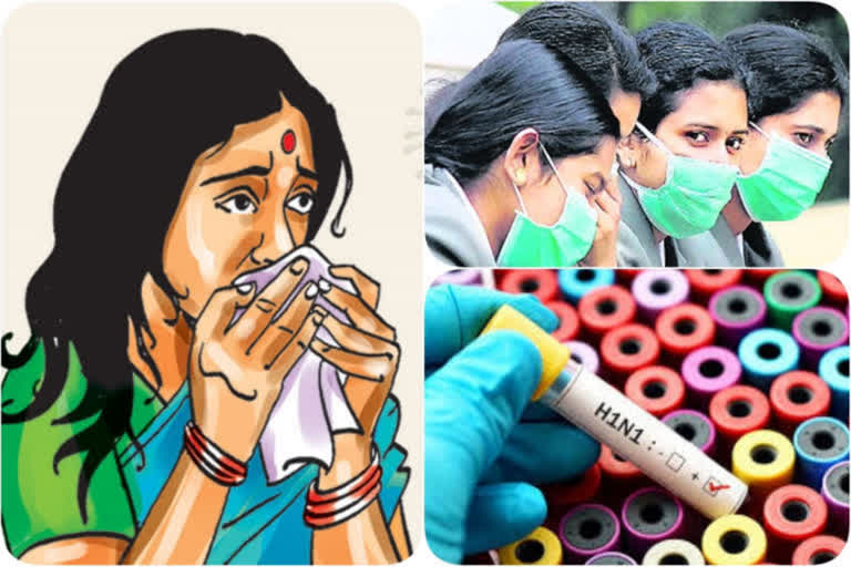 164 cases of swine flu, 164 cases of swine flu reported from Delhi, swine flu, swine flu 2020, swine flu latest news, 164 ಹಂದಿ ಜ್ವರ ಪ್ರಕರಣಗಳು, ದೆಹಲಿಯಲ್ಲಿ 164  ಹಂದಿ ಜ್ವರ ಪ್ರಕರಣಗಳು, ಹಂದಿ ಜ್ವರ, ಹಂದಿ ಜ್ವರ 2020, ಹಂದಿ ಜ್ವರ 2020 ಸುದ್ದಿ,