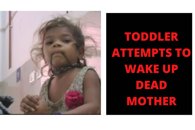 Three-year old attempts to wake up her dead mother!