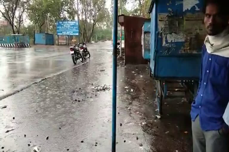 Hail fell due to unseasonal rain