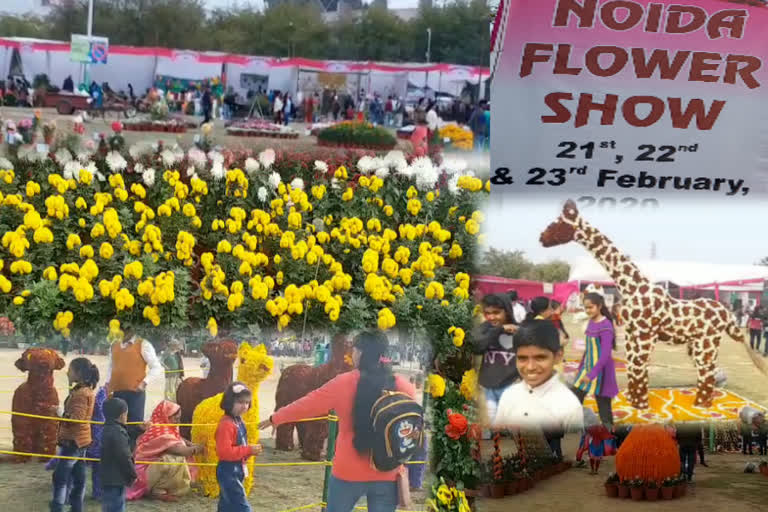 flower show noida