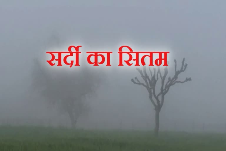 sikar news, rajasthan news, सीकर न्यूज, राजस्थान न्यूज