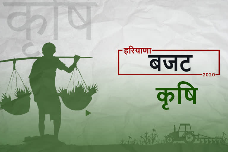 haryana budget for farmers