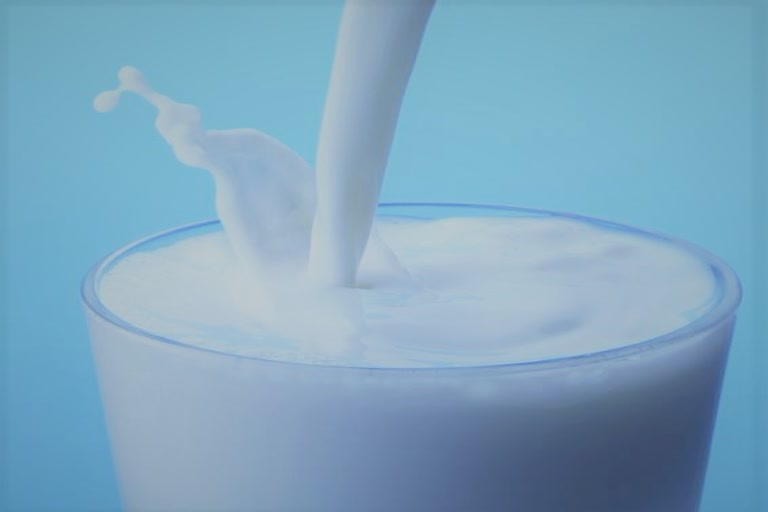 champawat milk producers news,दूध उत्पादकों की मांग चंपावत समाचार