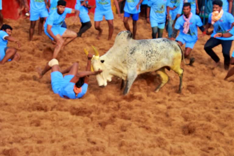 ஜல்லிக்கட்டு போட்டியை கொடி அசைத்து தொடங்கி வைத்த அமைச்சர்