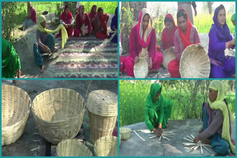 women formed self-help groups in nahan