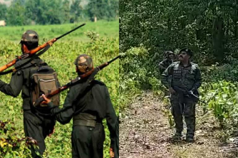 naxalite weakened due to police action in Seraikela