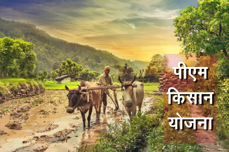 one Year of PM Kisan Scheme