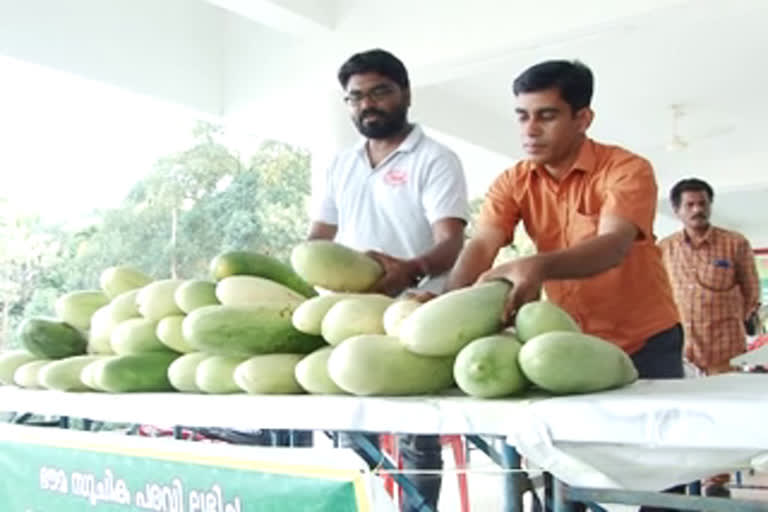 ernakulam district agricultural fest  pottaru vellari  ernakulam news  kothamangalam news  കോതമംഗലം വാര്‍ത്തകള്‍  പൊട്ടുവെള്ളരി  എറണാകുളം ജില്ലാ കാർഷികമേള