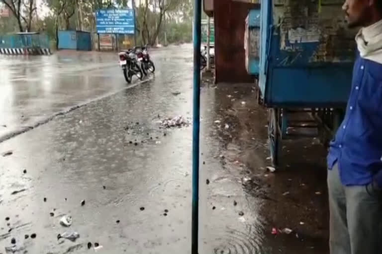 Damage to crops due to rain in Singrauli