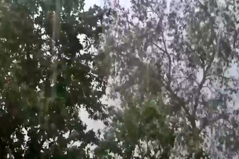 Hail accompanied by strong winds in Palamu