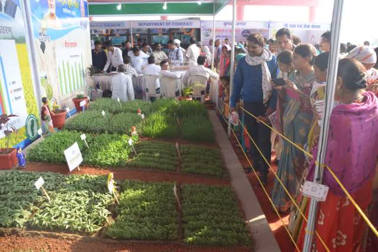 Agricultural Fair will conclution