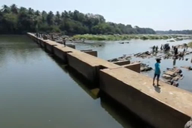 chennai students  parali check dam  പറളി ചെക്ക്ഡാം  മുങ്ങിമരണം