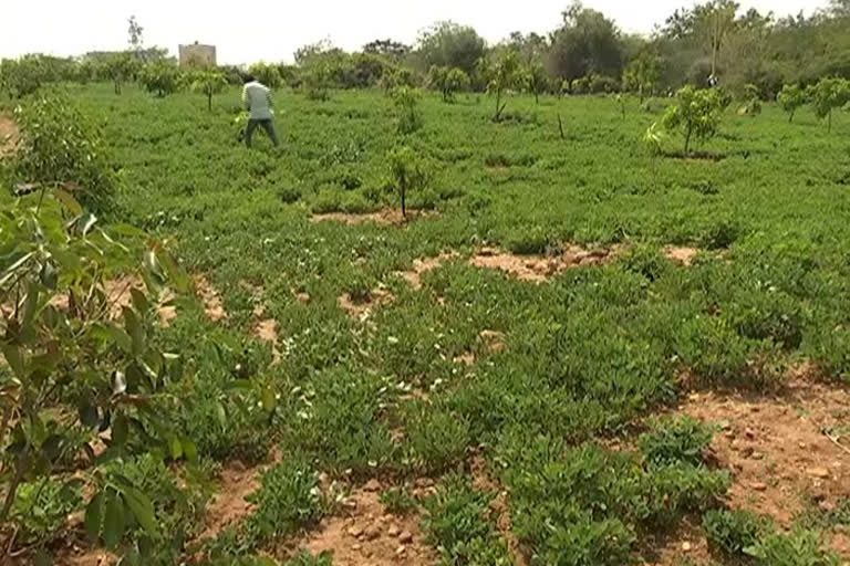 ఇళ్ల స్థలాల సేకరణ... సాగు భూములకు ఎసరు