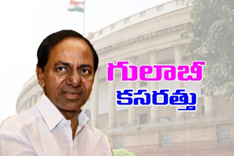 TRS party concentrate on Rajyasabha elections 2020