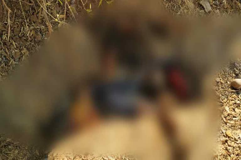 dead-body-were-found-in-doutable-condition-near-himmatnagar