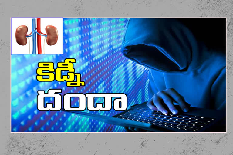 cyber fraud on the name of kidney purchases in vijayawada