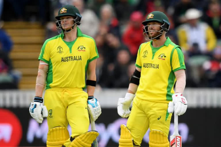 david warner and steve smith again in captown's new lands stadium