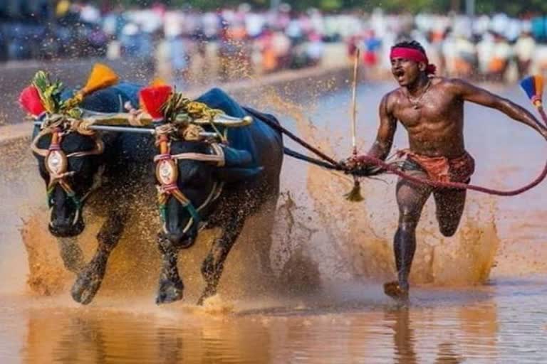 Kambala jockey Srinivas Gowda