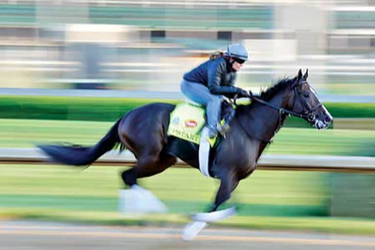 Saudi Arabia to host world's richest horse race