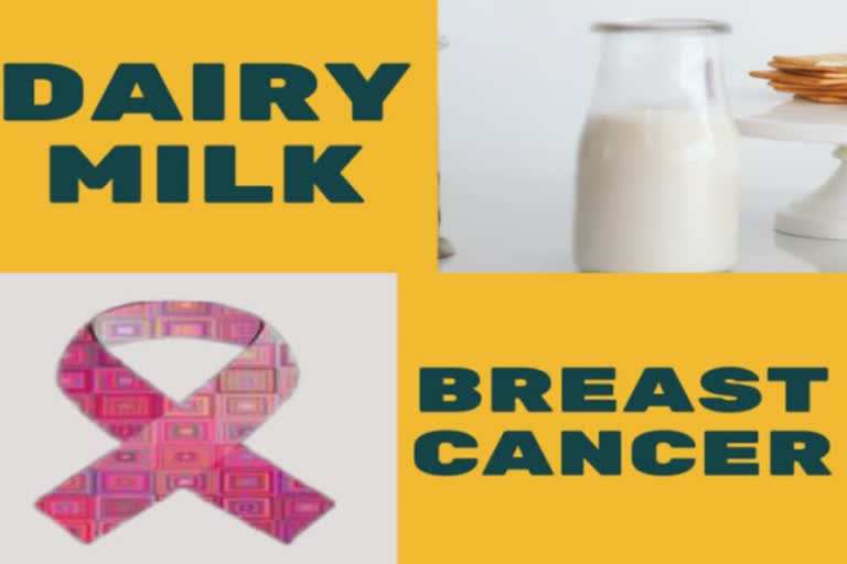 Dairy milk intake may up breast cancer risk