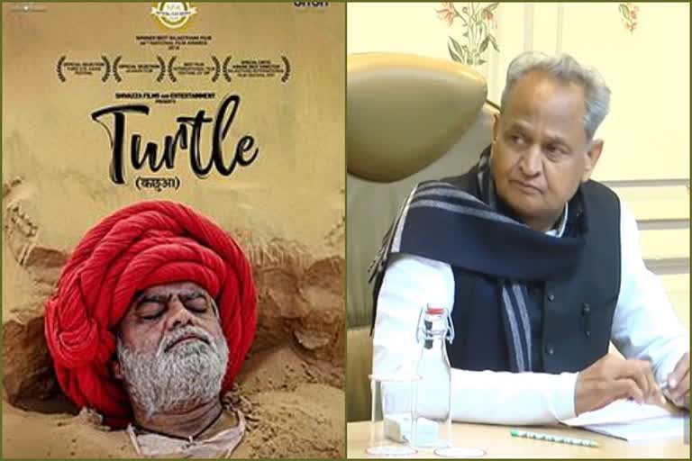 राजस्थानी फिल्म टर्टल, rajasthani movie turtle, turtle movie ralated news, टर्टल फिल्म