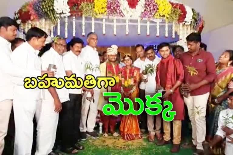 Minister harish rao give a plant to the new wedding couple