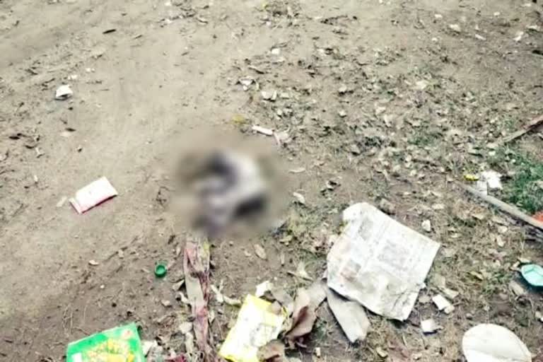 Bokaro police, body of newborn found, Sector Four Police Station Bokaro, बोकारो पुलिस, नवजात बच्चे का शव मिला, सेक्टर फोर थाना बोकारो