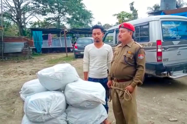 Ganja seized at orang udalguri assam etv bharat latest news