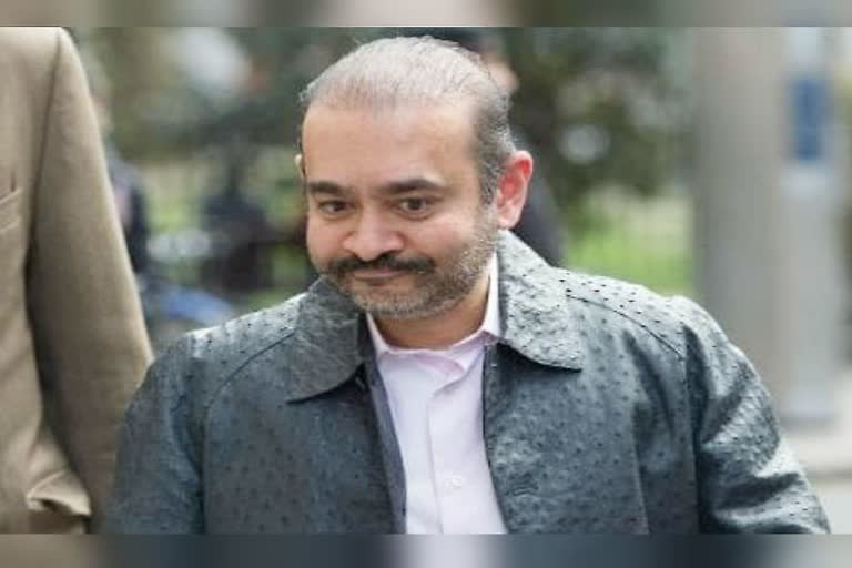 auction of properties of nirav modi