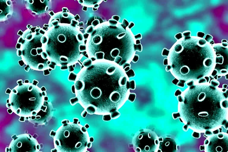 Coronavirus cases emerging faster outside China: WHO