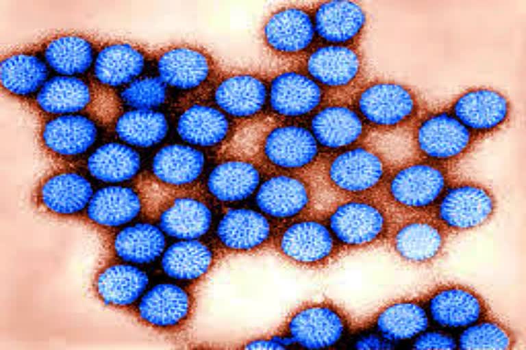 coronavirus