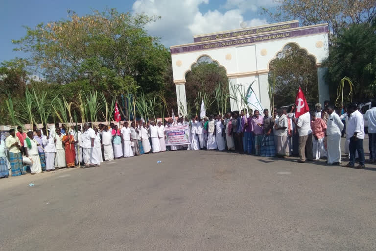 sugarcane farmers balance tiruvannamalai  sugarcane farmers demand to give balance amount to sugarcane farmers  தரணி சர்க்கரை ஆலை  தரணி சர்க்கரை ஆலை கரும்பு விவசாயிகள் நிலுவைத் தொகை