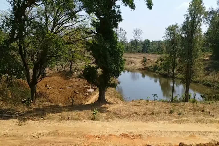 The unscientific pond is built on the Brahmagiri estate  ബ്രഹ്മഗിരി എസ്റ്റേറ്റിൽ അശാസ്ത്രീയമായി കുളം നിർമിക്കുന്നു  Brahmagiri estate  ബ്രഹ്മഗിരി എസ്റ്റേറ്റ്